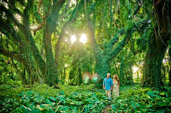 Photography in Maui
