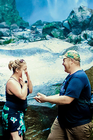 Maui Photographers Waterfall Proposal