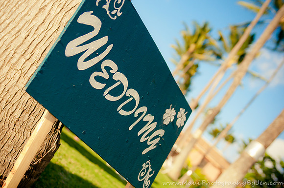 Maui Wedding Photographer in Kaanapali