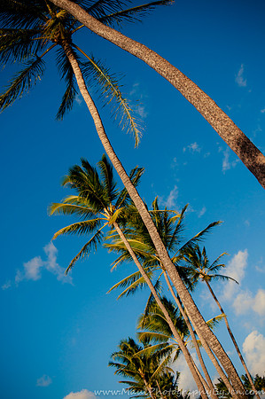 Maui Wedding Photographer in Kaanapali