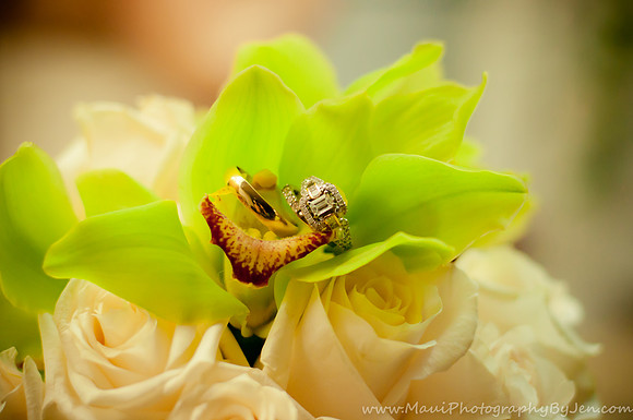 Maui Wedding Photographer in Kaanapali