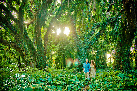 Photography in Maui