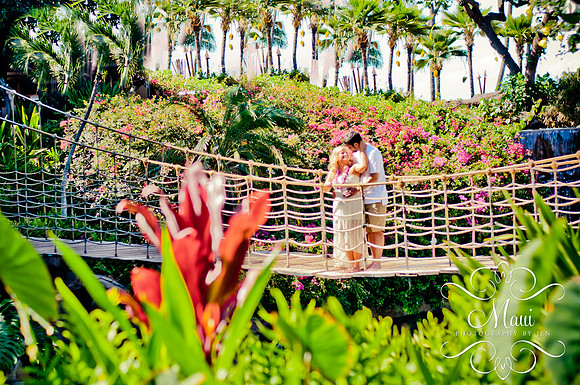 Photography in Maui @ The Hyatt Kaanapalli