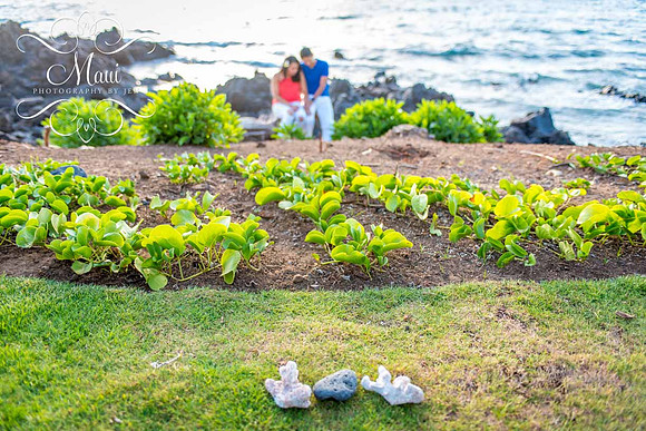 Maui Photographer @ Wailea Marriott Beach Resort
