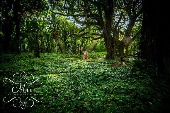 Maui Photographers Indian Wedding Couple