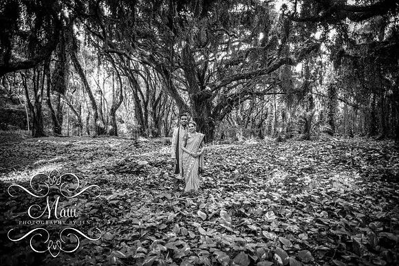 Maui Photographers Indian Wedding Couple