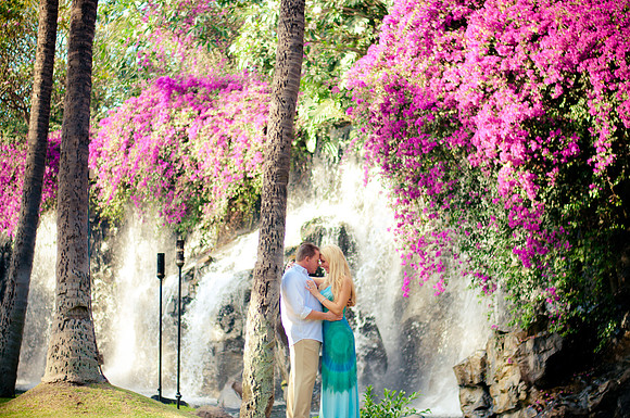 Maui Photography By Jen @ The Grand Wailea Resort
