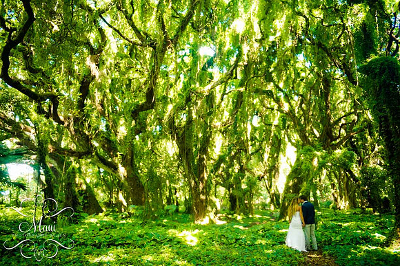 Photographers in Maui Wedding
