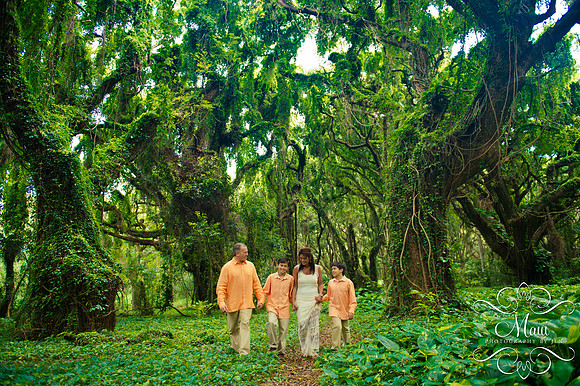 Photographers in Maui