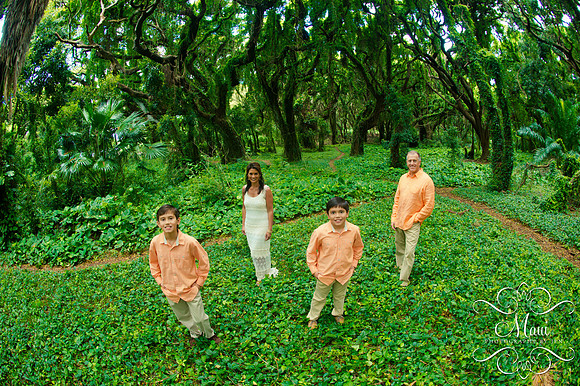 Photographers in Maui