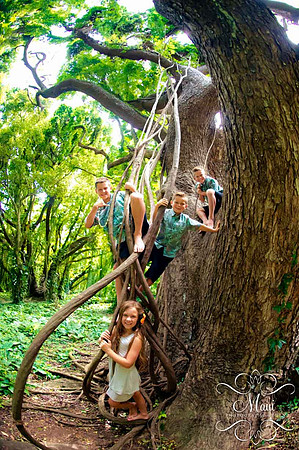 Photographers in Maui