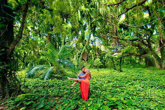 Photographers in Maui