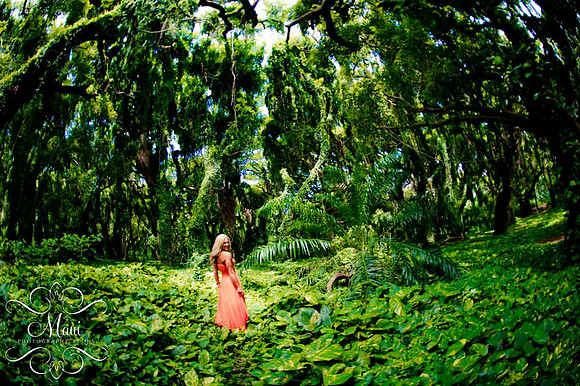 Photographers in Maui Captures Family