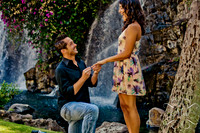 Maui Photography Couple Waterfalls Grand Wailea Resort