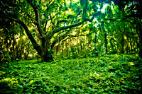 Maui Photography @ Kapalua Bay Beach in Maui