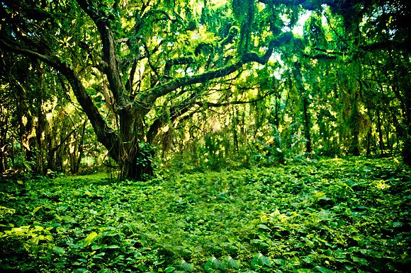 Maui Photography @ Kapalua Bay Beach in Maui