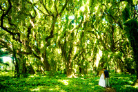 Photographers in Maui Wedding