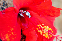 Maui Photographer