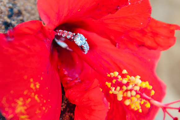 Maui Photographer
