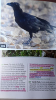 Personal Study Gems